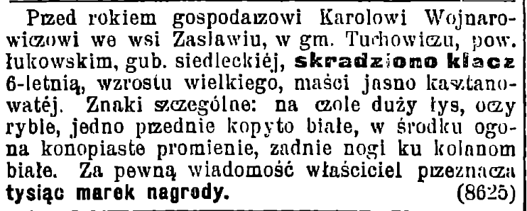 Gazeta Świąteczna 1991/1919