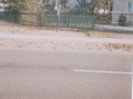 mogila2.png